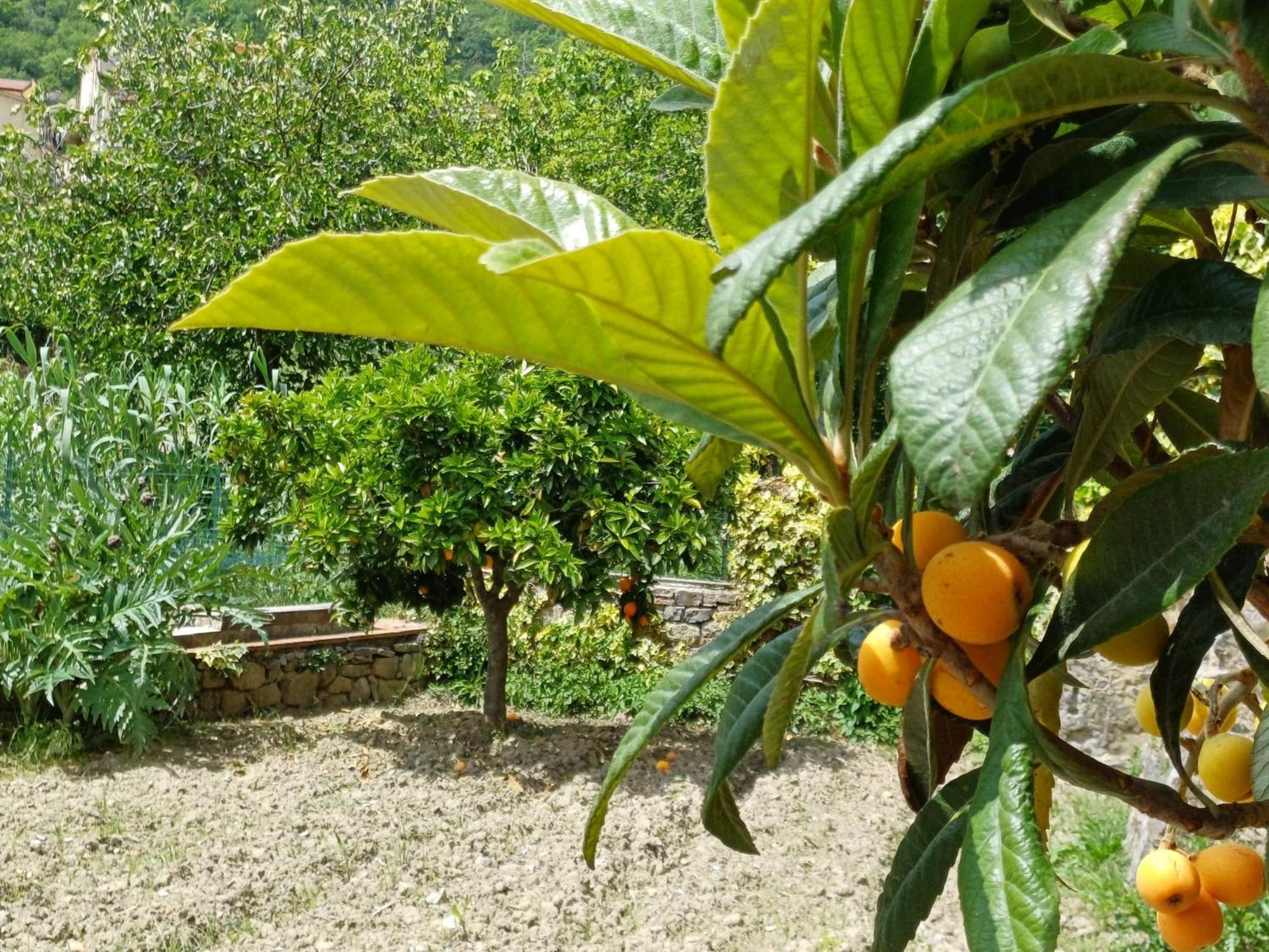 Country House B&B Antica Dimora Del Sole Camerota Extérieur photo