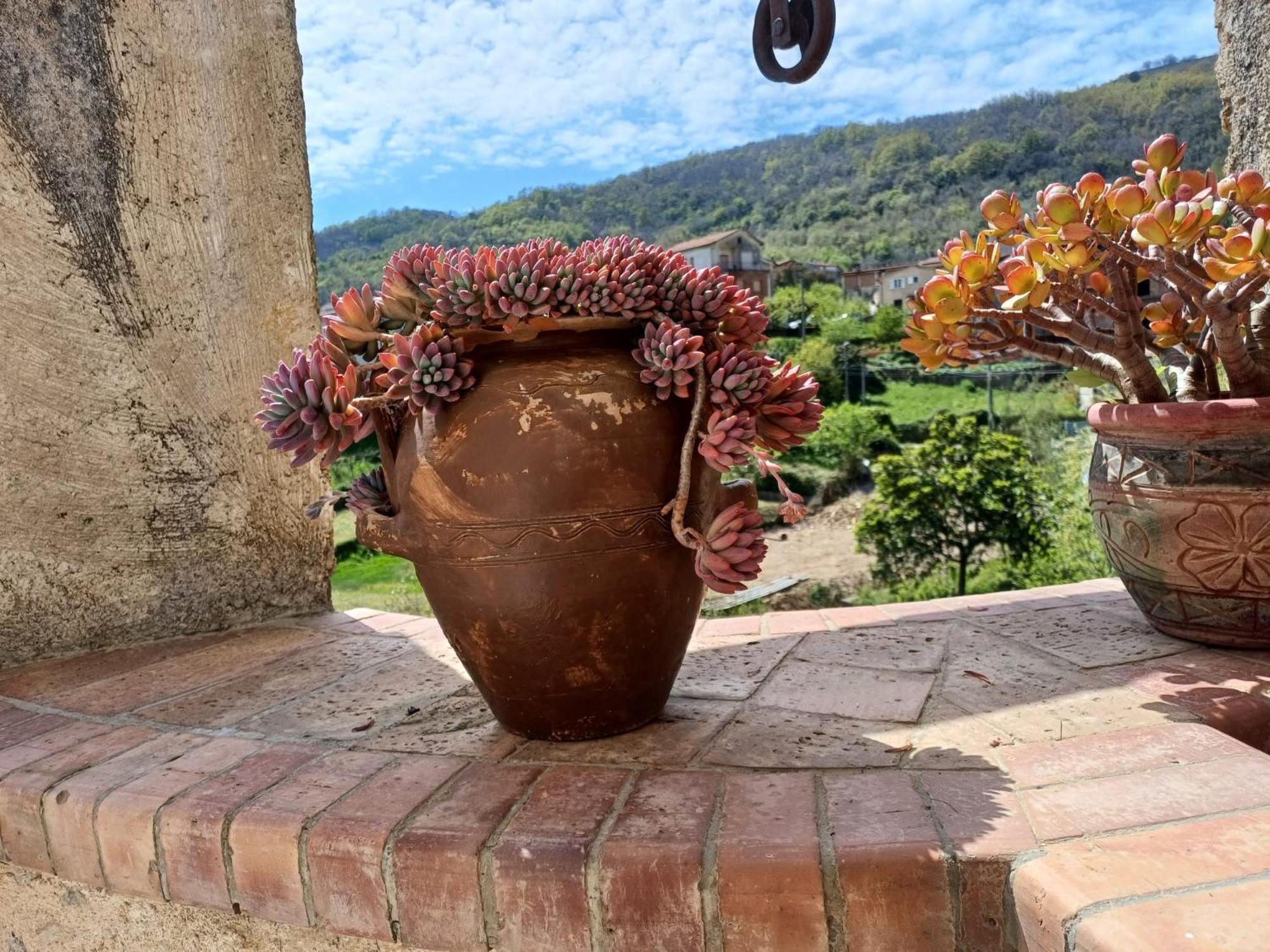 Country House B&B Antica Dimora Del Sole Camerota Extérieur photo